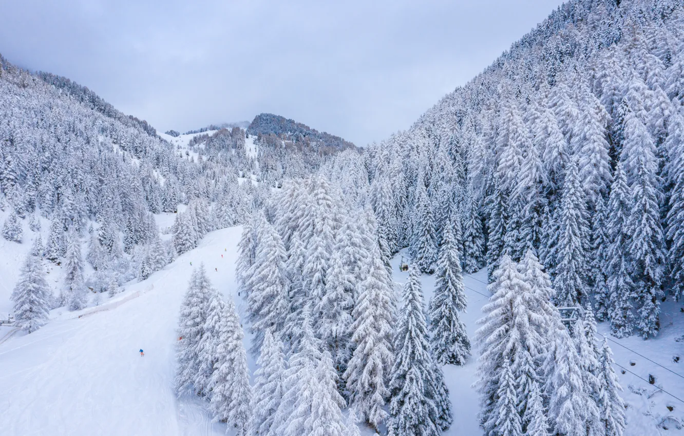 Photo wallpaper winter, snow, trees, landscape, mountains, tree, forest, landscape