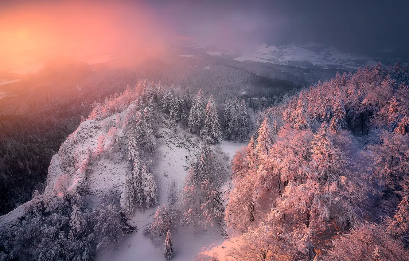 Photo wallpaper winter, frost, forest, light, snow, mountains, nature, fog