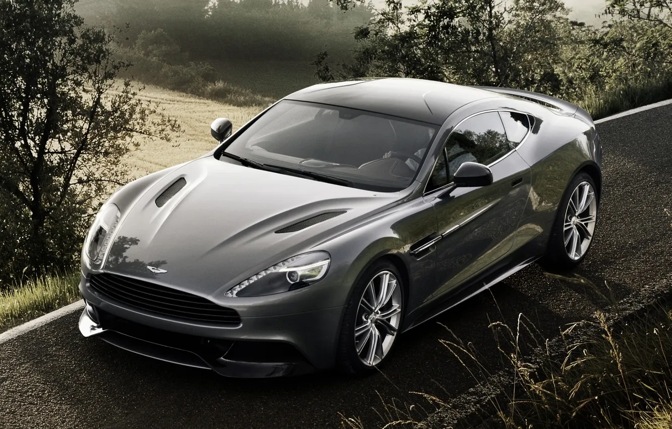 Photo wallpaper road, field, grey, background, Aston Martin, Aston Martin, supercar, the bushes
