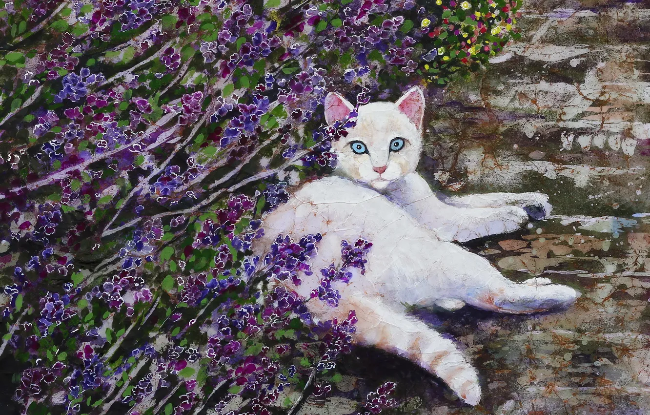 Photo wallpaper cat, nature, picture