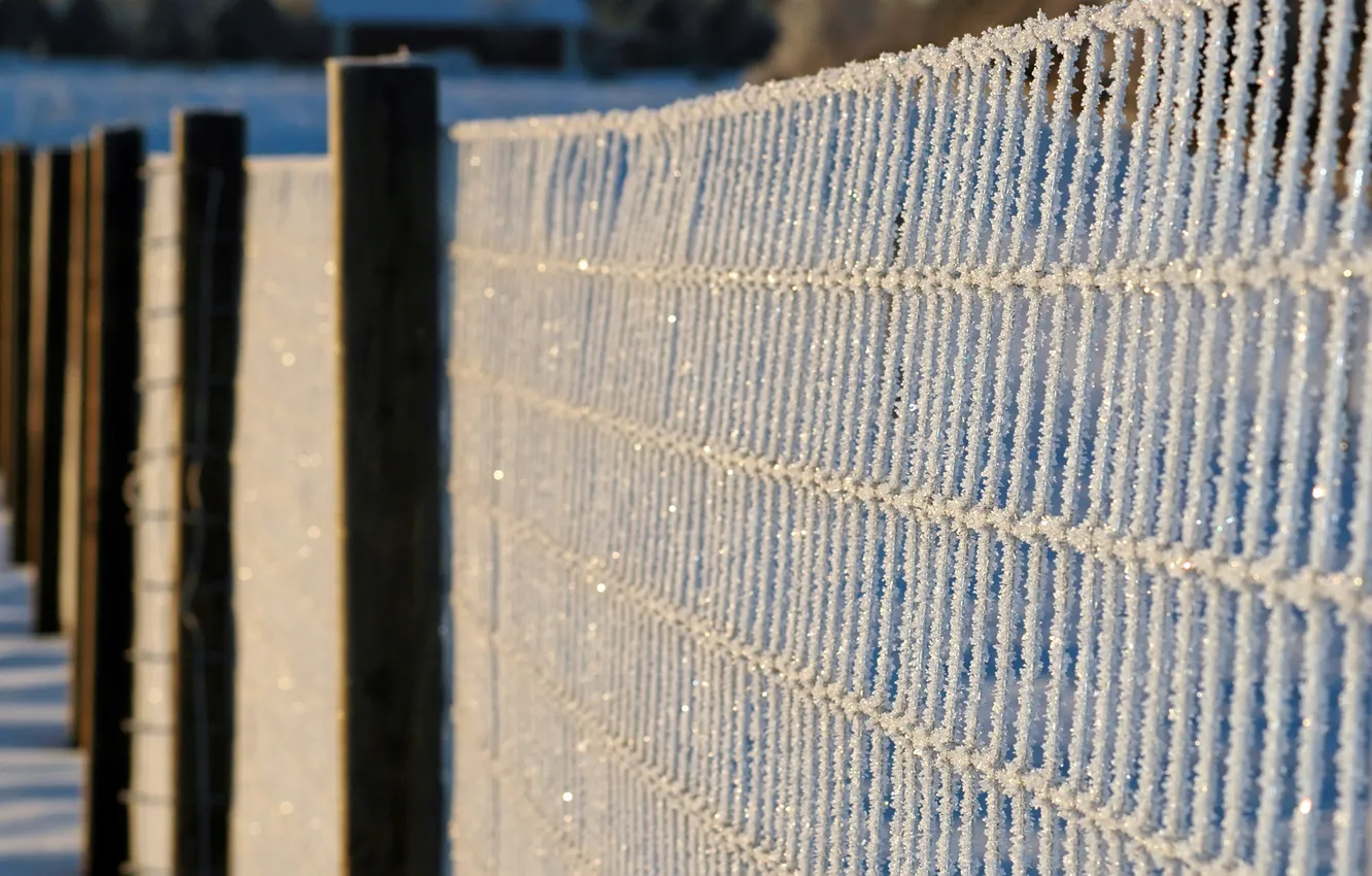 Photo wallpaper cold, winter, macro, snow, snowflakes, photo, the fence, frost