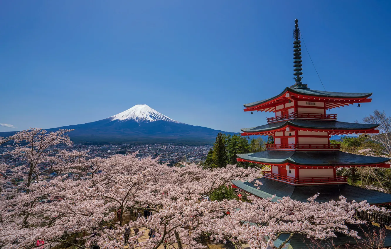 Wallpaper Japan, mount Fuji, Chureito Pagoda, Fujiyoshida for mobile ...