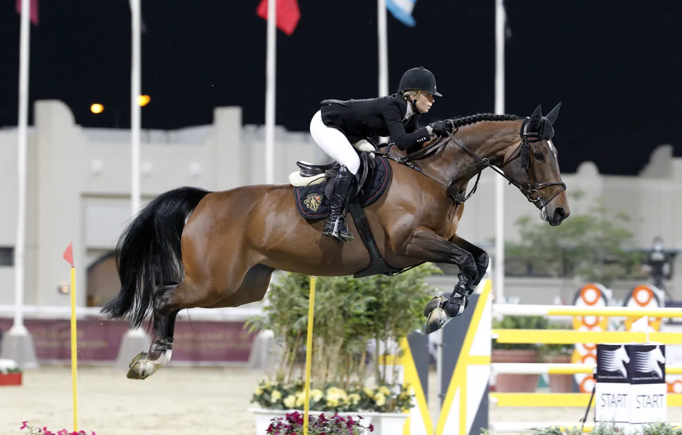 Photo wallpaper horse, sport, horse, rider, jumping, horse riding, show jumping, edwina tops-alexander