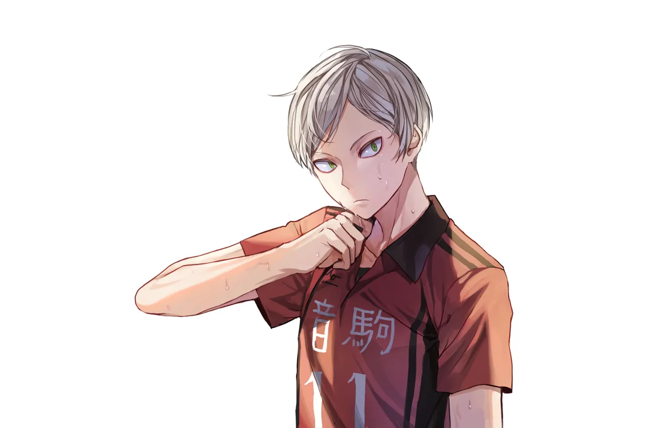 Photo wallpaper guy, volleyball, HAIKYUU