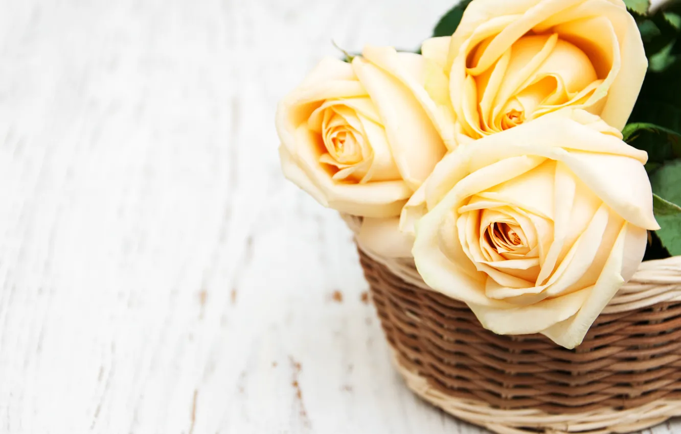 Photo wallpaper flowers, roses, bouquet, basket, Olena Rudo