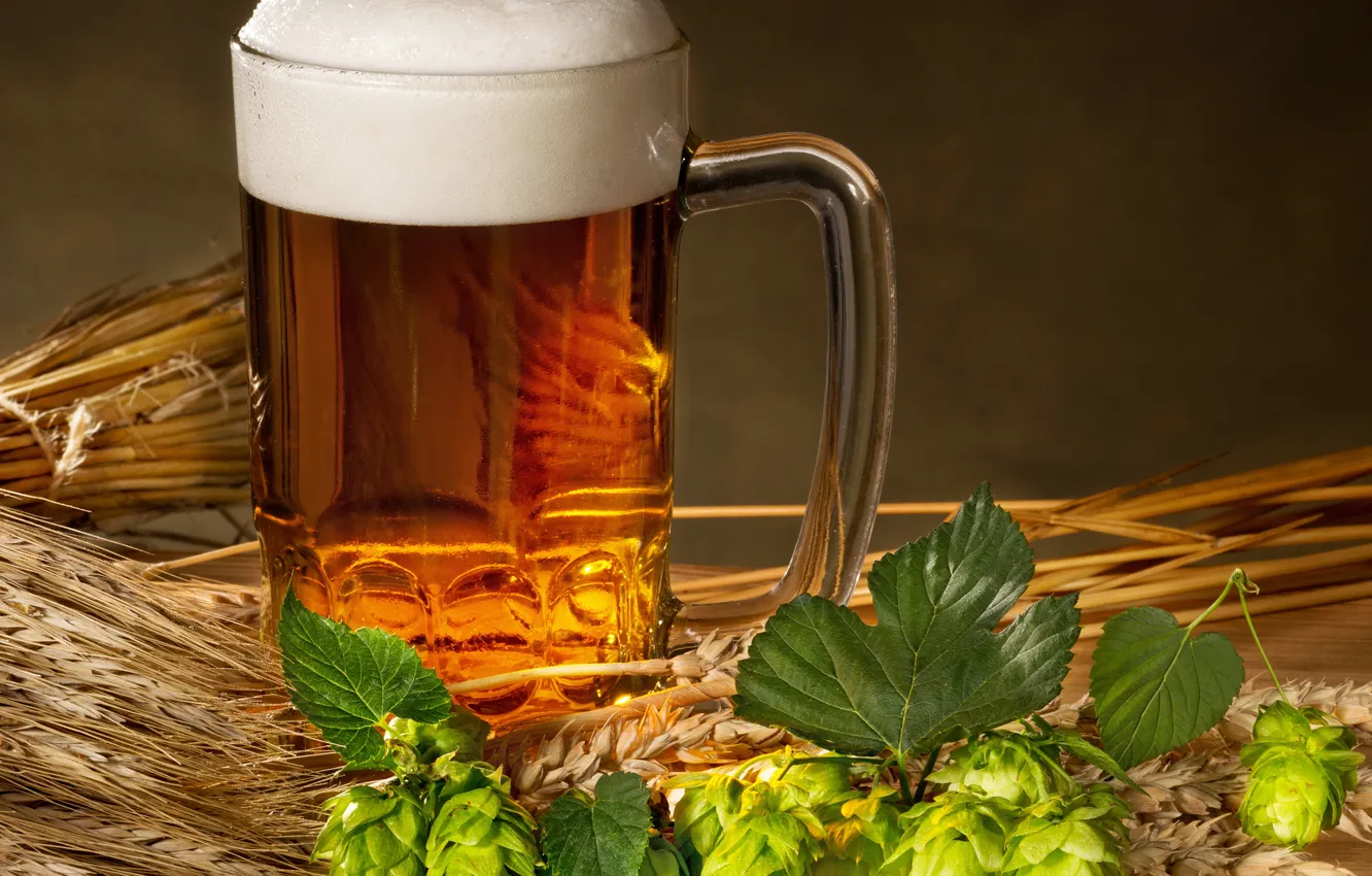 Photo wallpaper foam, beer, mug, ears, hops