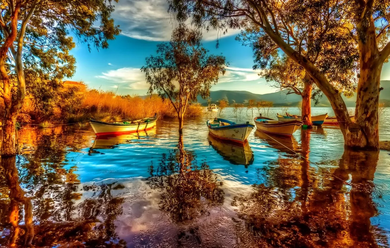 Photo wallpaper trees, Mountain, lake, boats