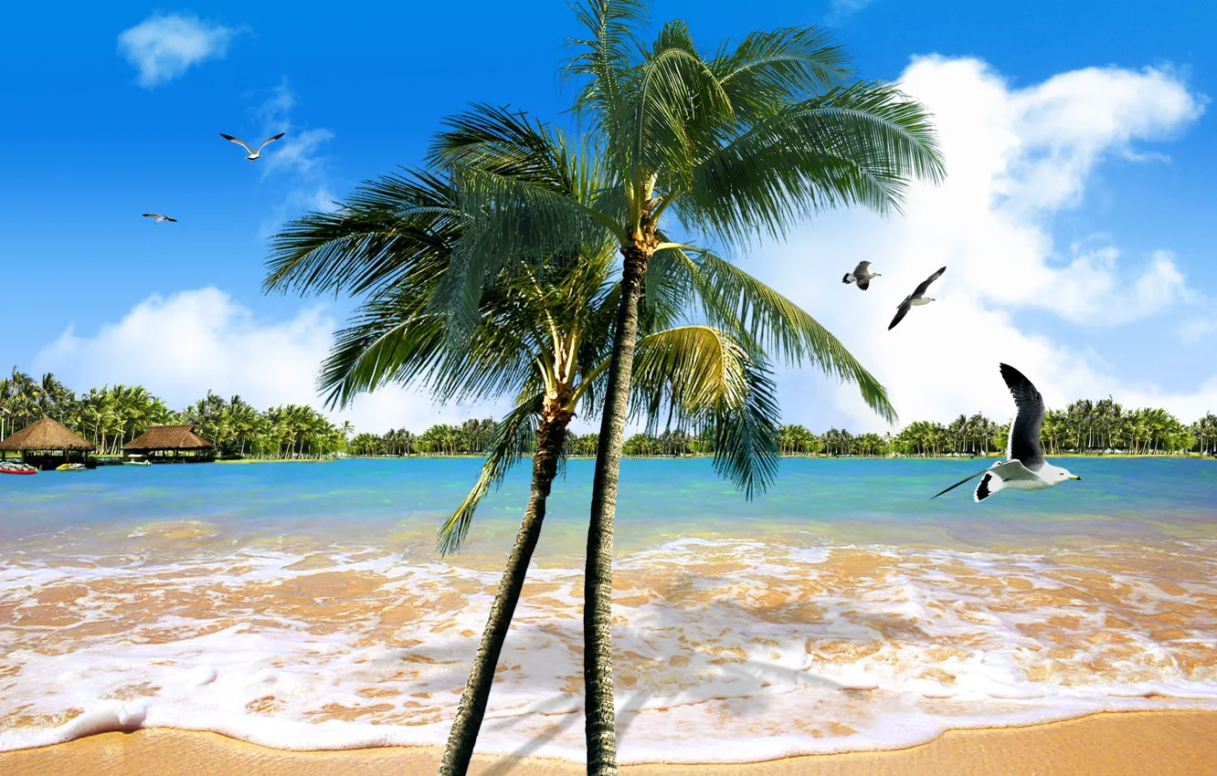 Photo wallpaper birds, tropics, palm trees, the ocean, exotic