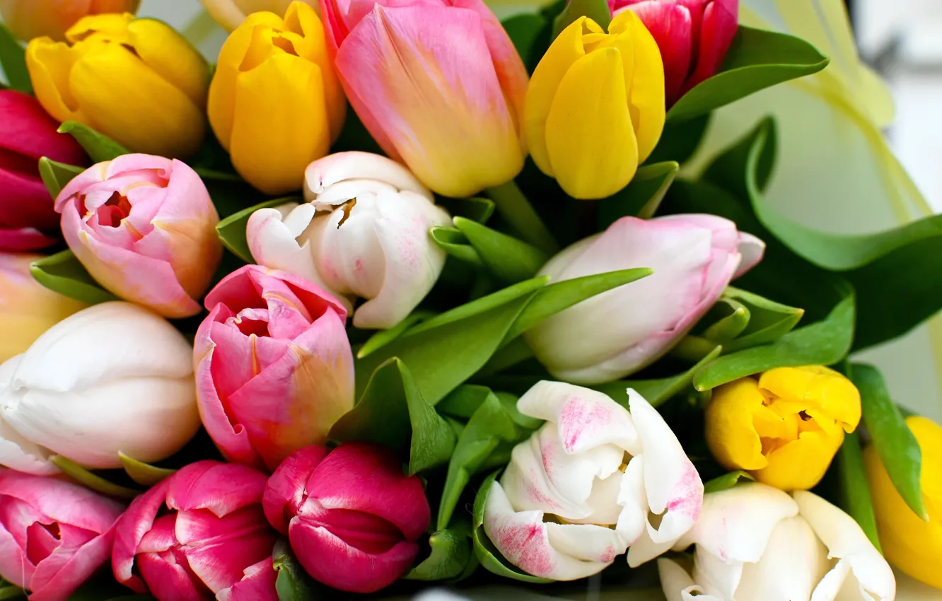 Photo wallpaper macro, flowers, yellow, bouquet, spring, tulips, pink, white