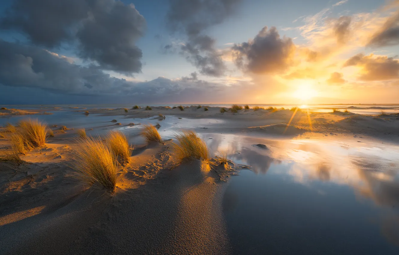 Photo wallpaper sunset, shore, dunes