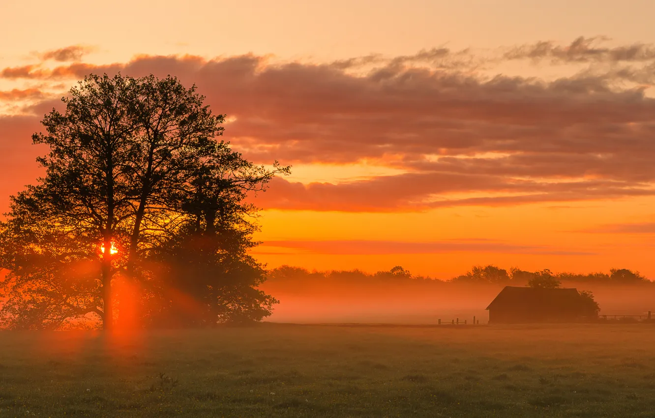 Photo wallpaper landscape, sunset, village, red sky