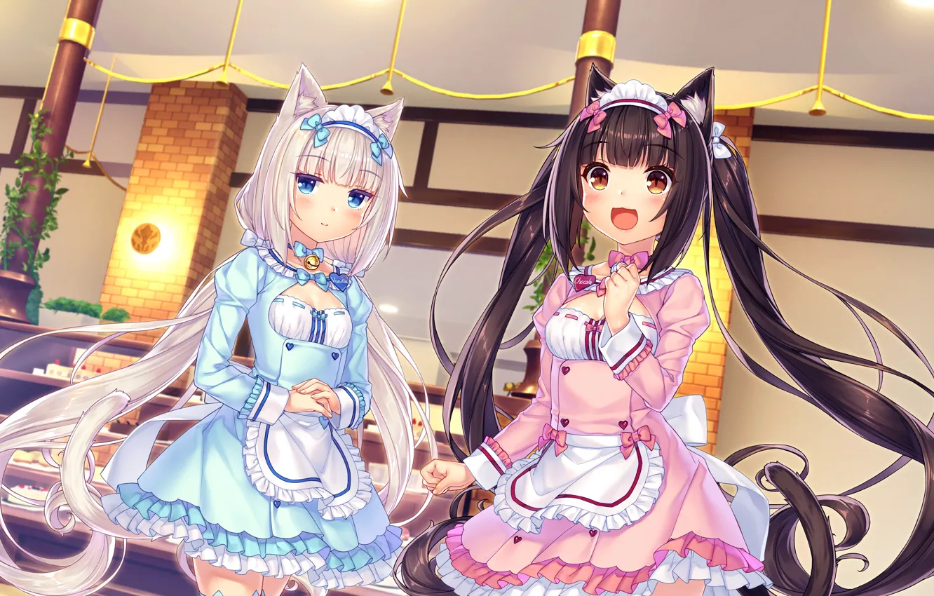 Photo wallpaper sexy, cleavage, long hair, dress, girls, brown hair, boobs, animal ears