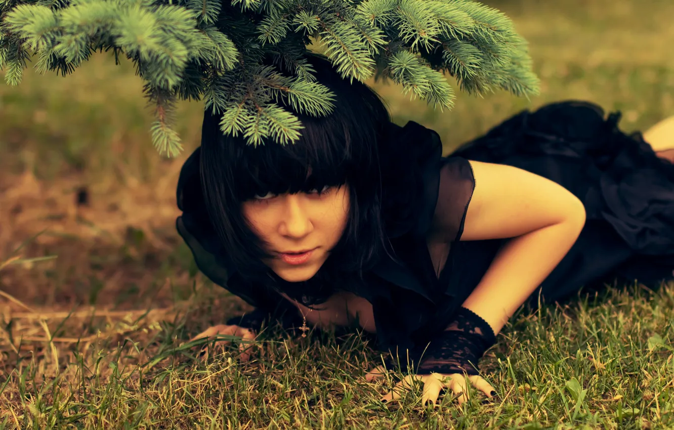 Photo wallpaper grass, spruce, dress, DariaDreary