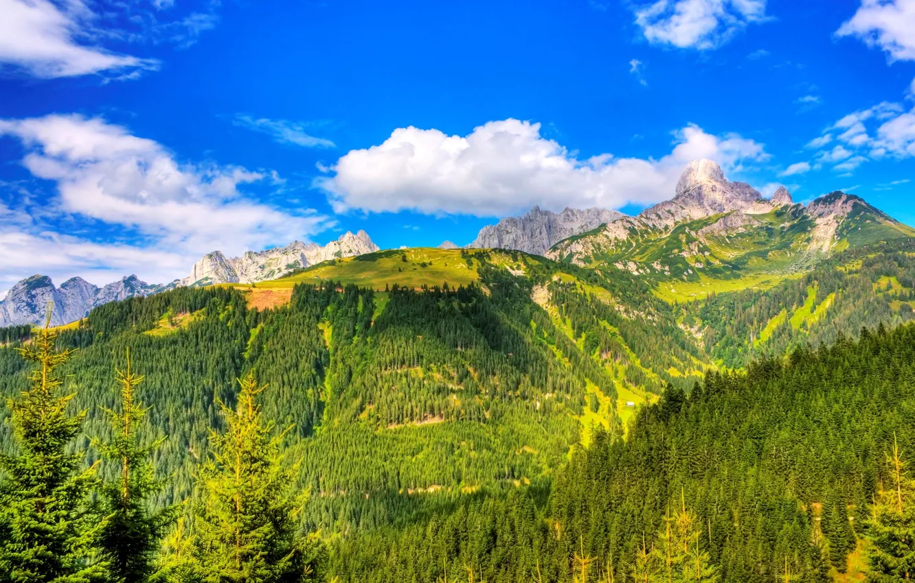 Photo wallpaper the sky, trees, mountains, obla