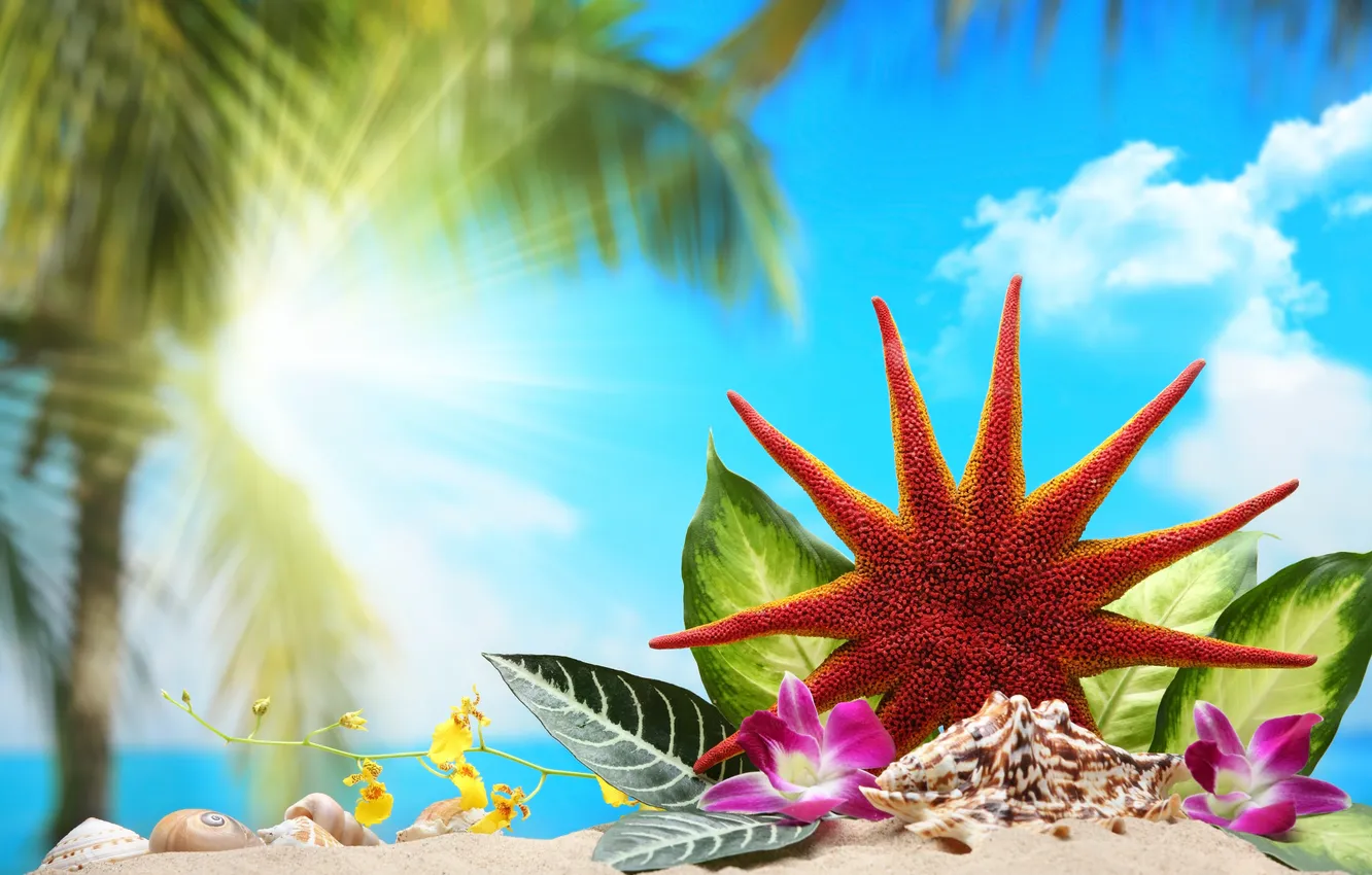 Photo wallpaper sea, beach, summer, the sun, tropics, palm trees, stay, summer