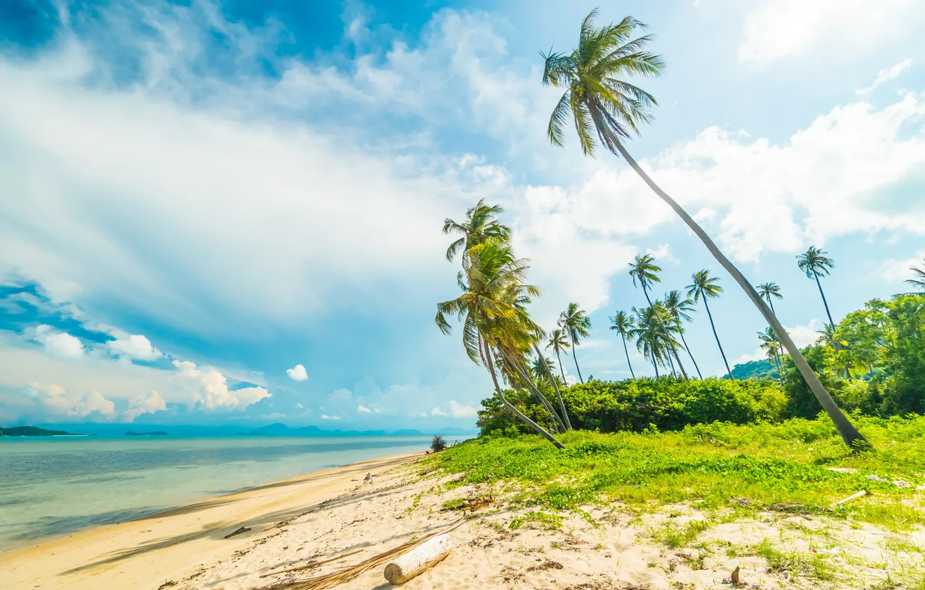 Photo wallpaper sand, sea, wave, beach, summer, the sky, palm trees, shore