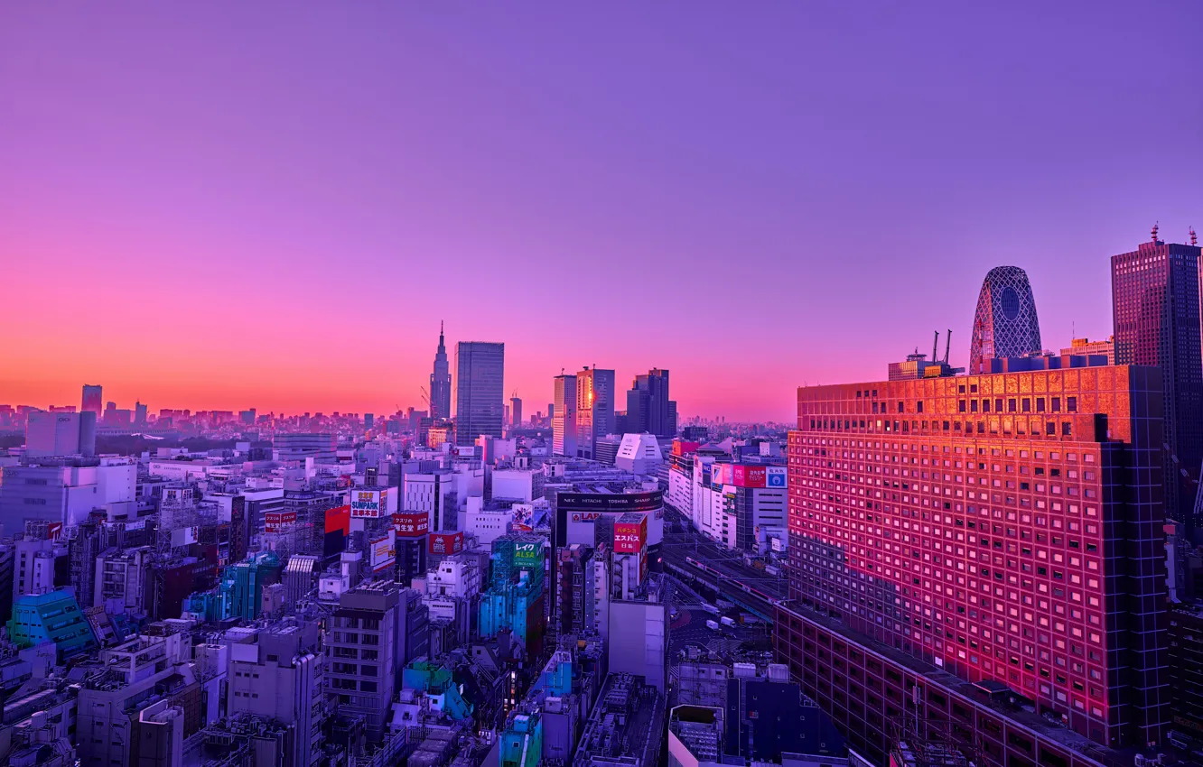 Photo wallpaper city, skyline, purple, building, colored