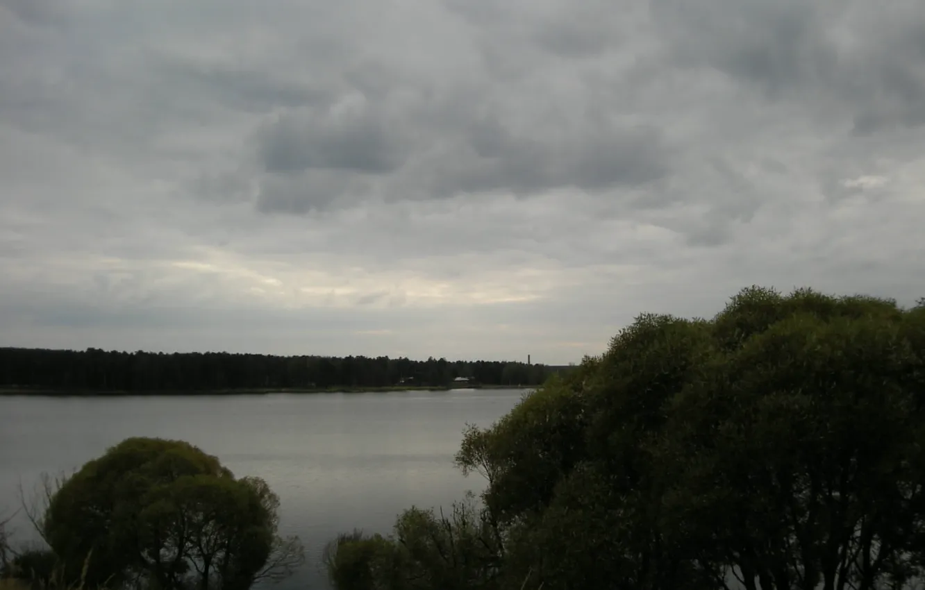 Photo wallpaper trees, clouds, lake