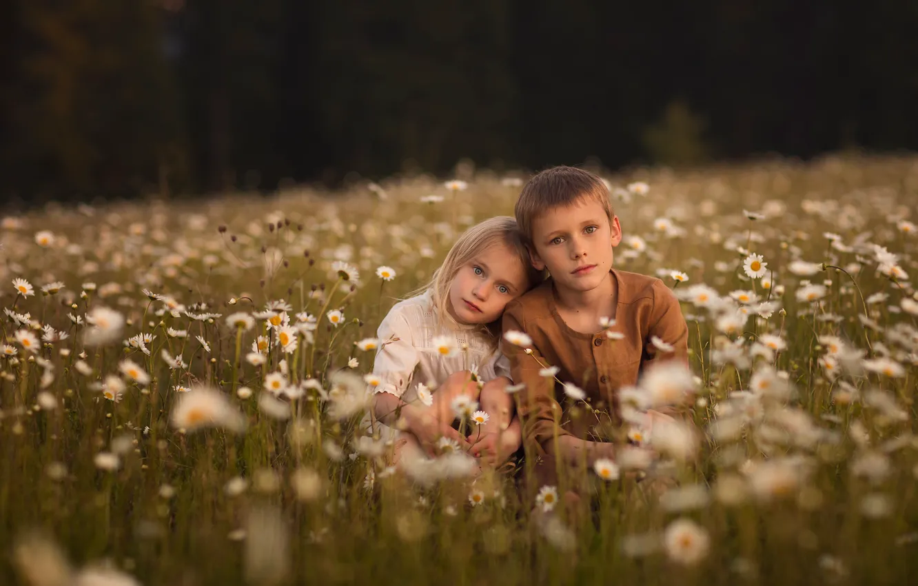Photo wallpaper sitting, flowers, girl, chamomile field, children, childhood, Lisa Holloway, together