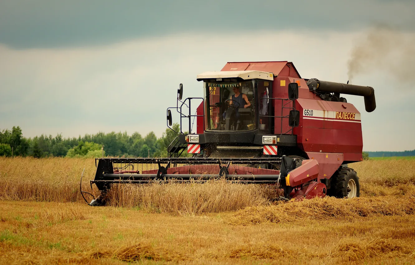 Photo wallpaper field, the evening, harvester, harvesting, autumn strada