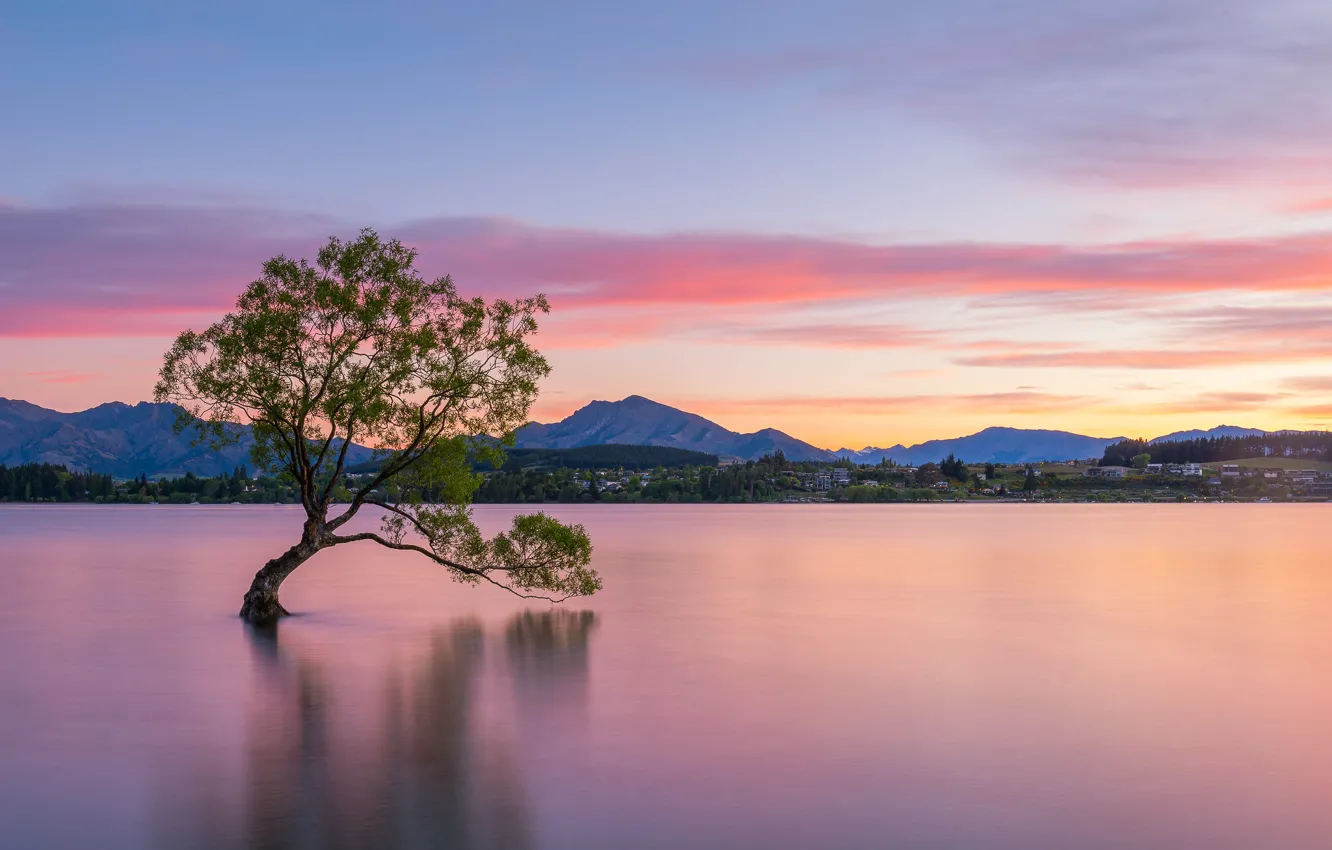 Photo wallpaper trees, landscape, mountains, nature, lake, dawn, shore, morning