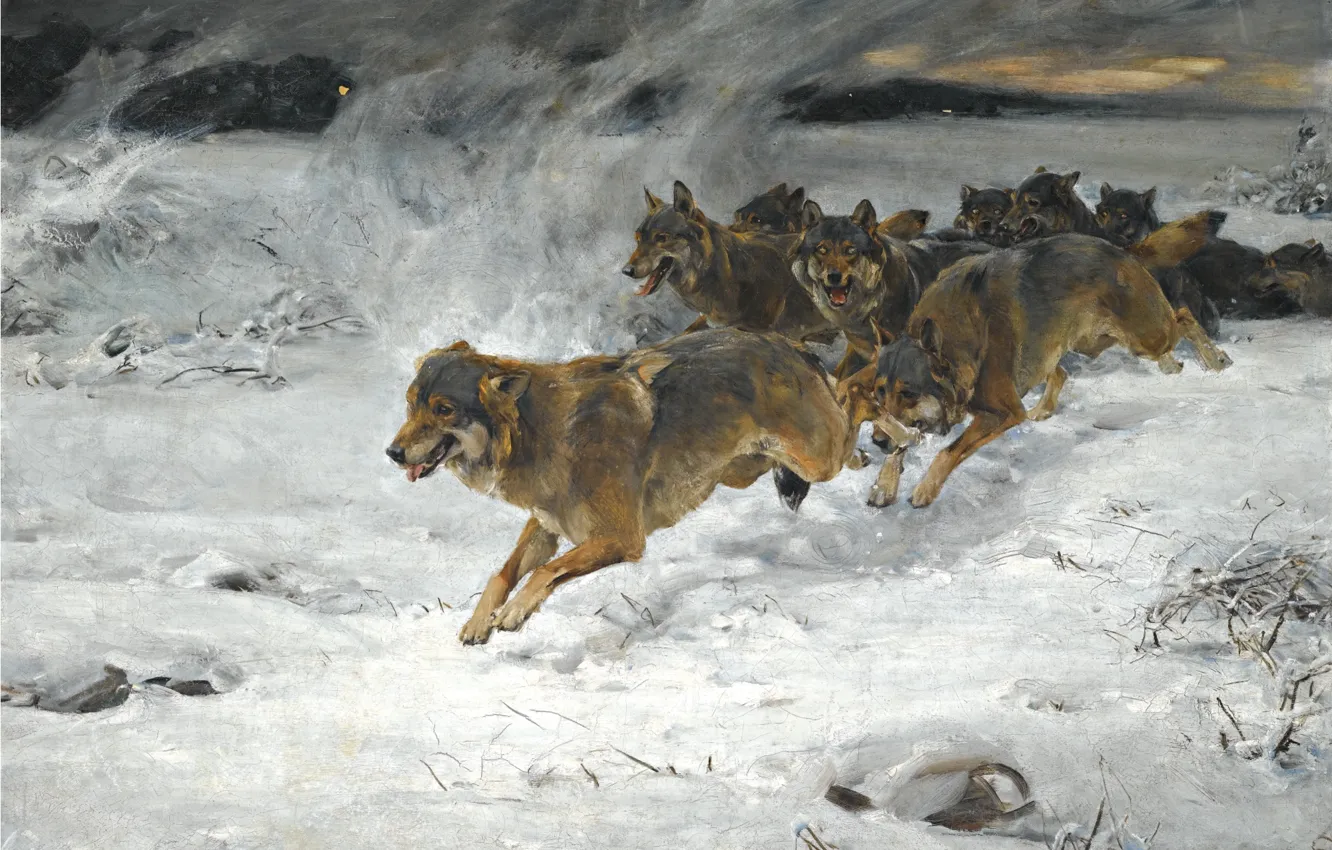 Photo wallpaper dogs, snow, dawn, pack, artist, Alfred Kowalski-Verush