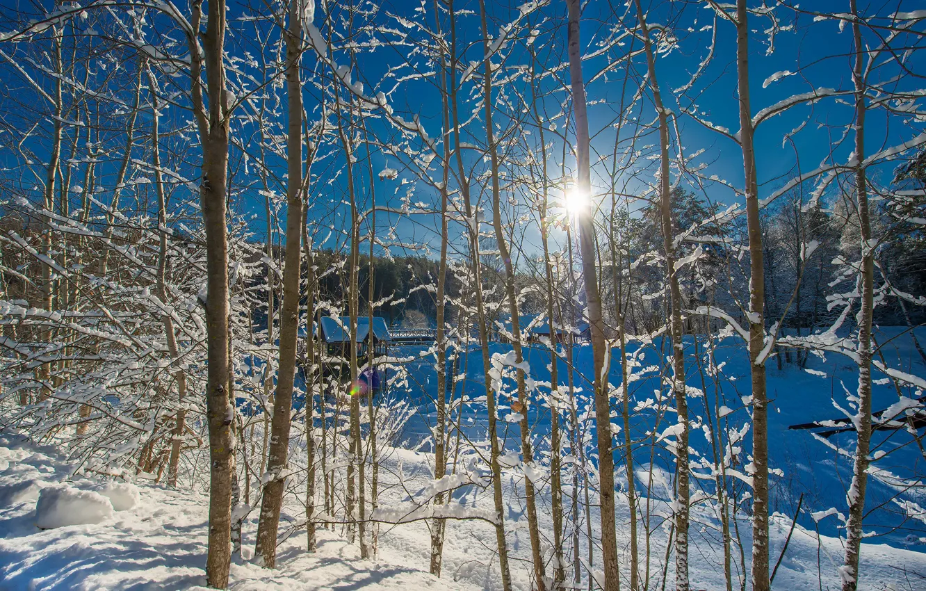 Photo wallpaper winter, the sun, snow