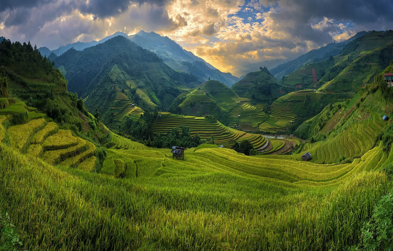 Photo wallpaper mountains, field, valley, Vietnam