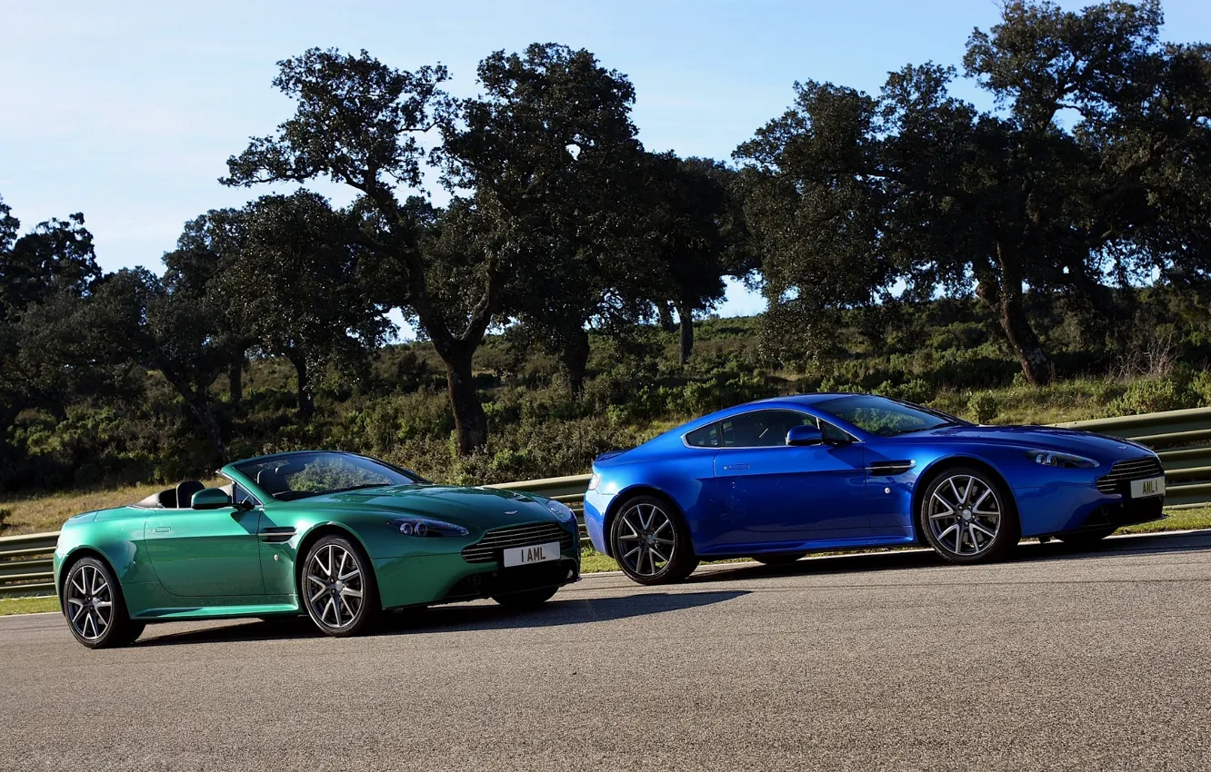 Photo wallpaper trees, Aston Martin, coupe, beauty, Aston Martin, Roadster, blue, green