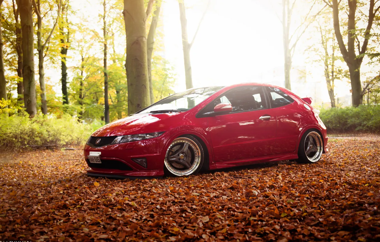 Photo wallpaper forest, red, Honda, red, Honda, Civic, civici, Stance