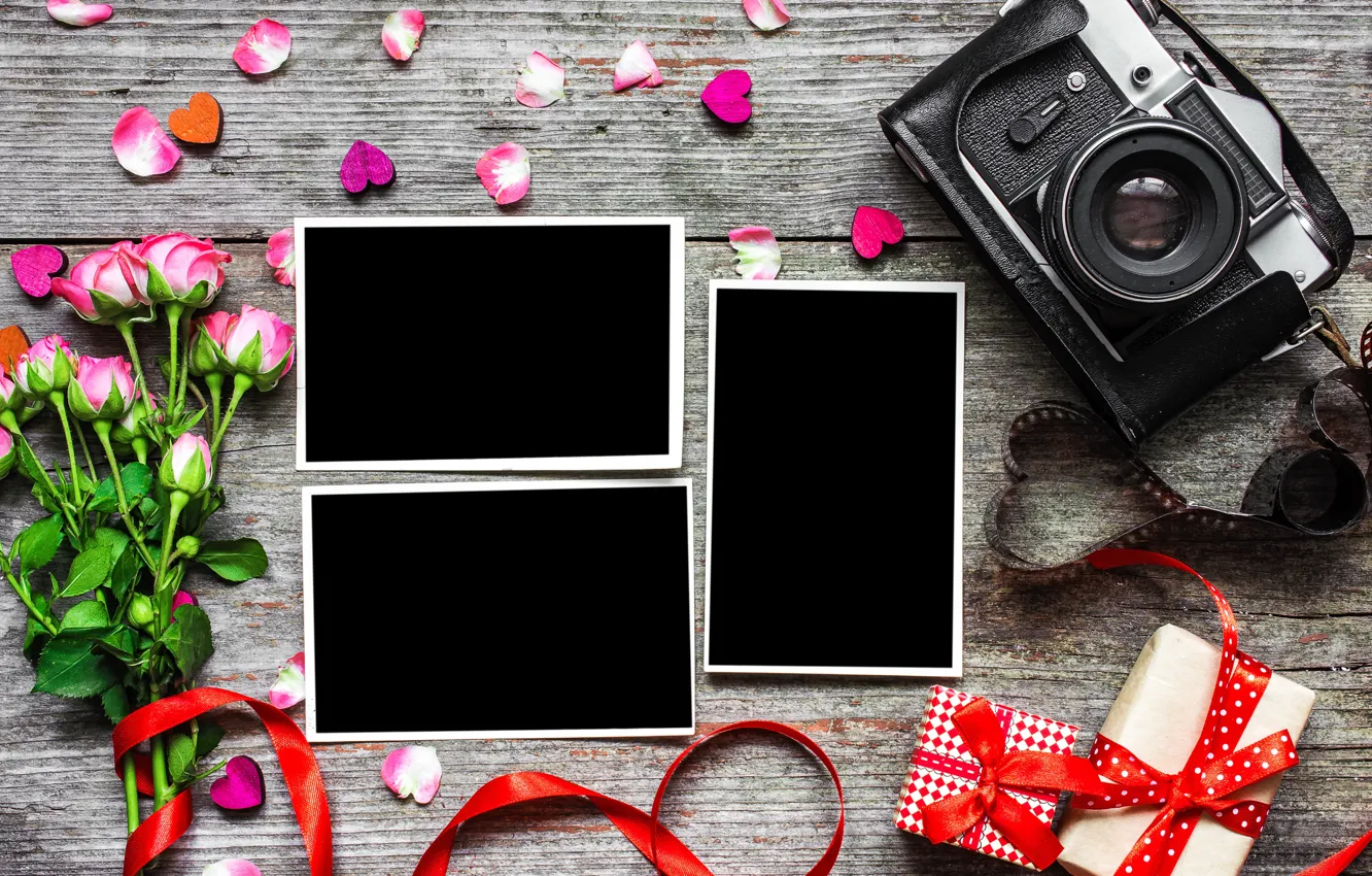 Photo wallpaper flowers, photo, roses, bouquet, camera, frame, petals, gifts