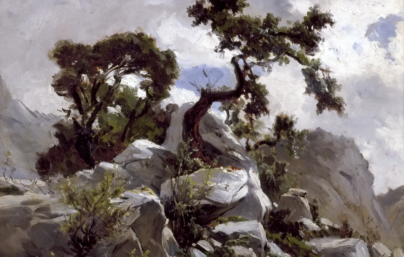 Photo wallpaper trees, nature, stones, rocks, picture, Carlos de Haes, Mountain Landscape