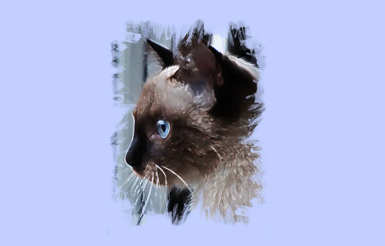 Photo wallpaper cat, eyes, look, art