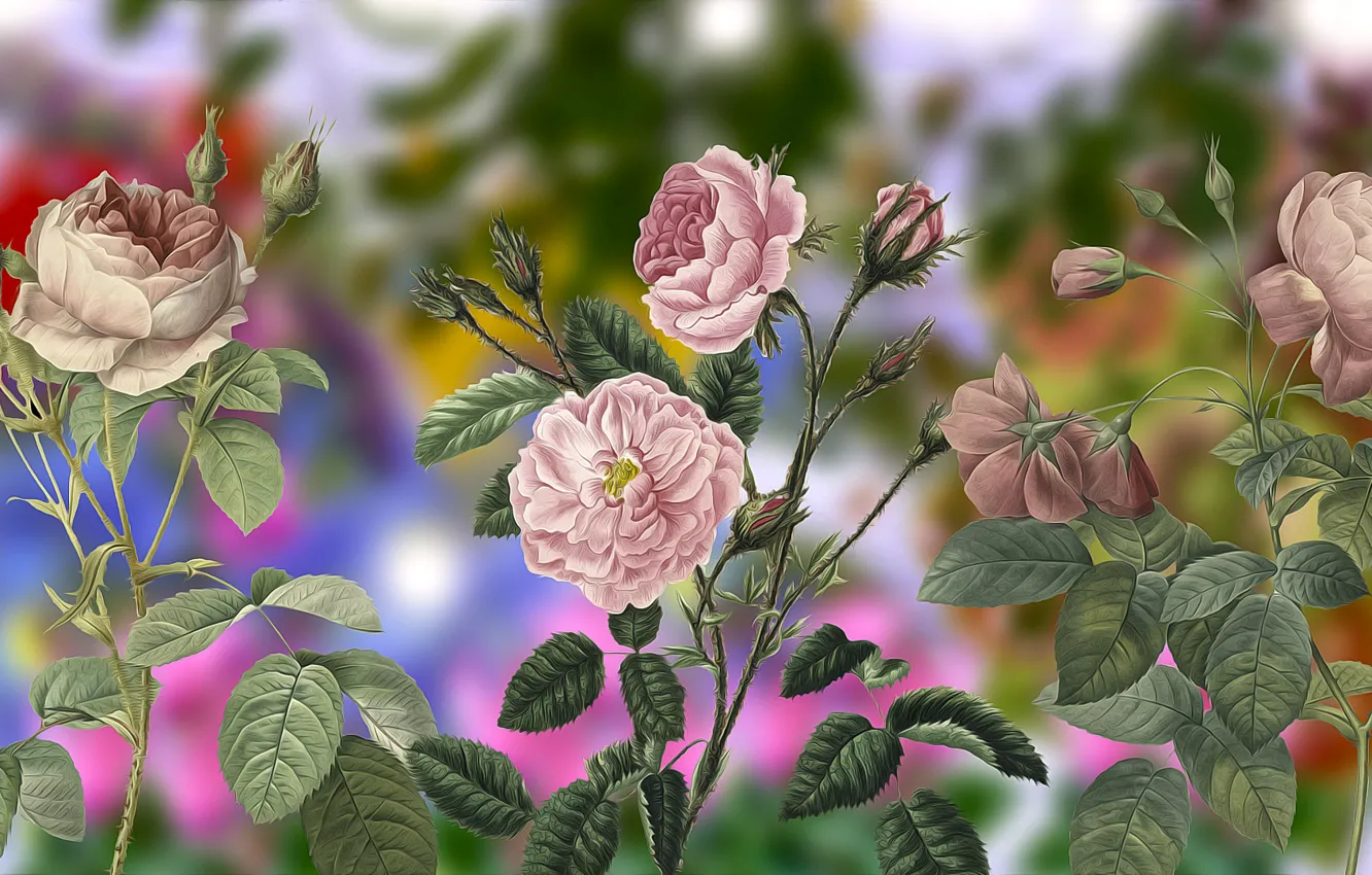 Photo wallpaper vintage, Flowers, Roses