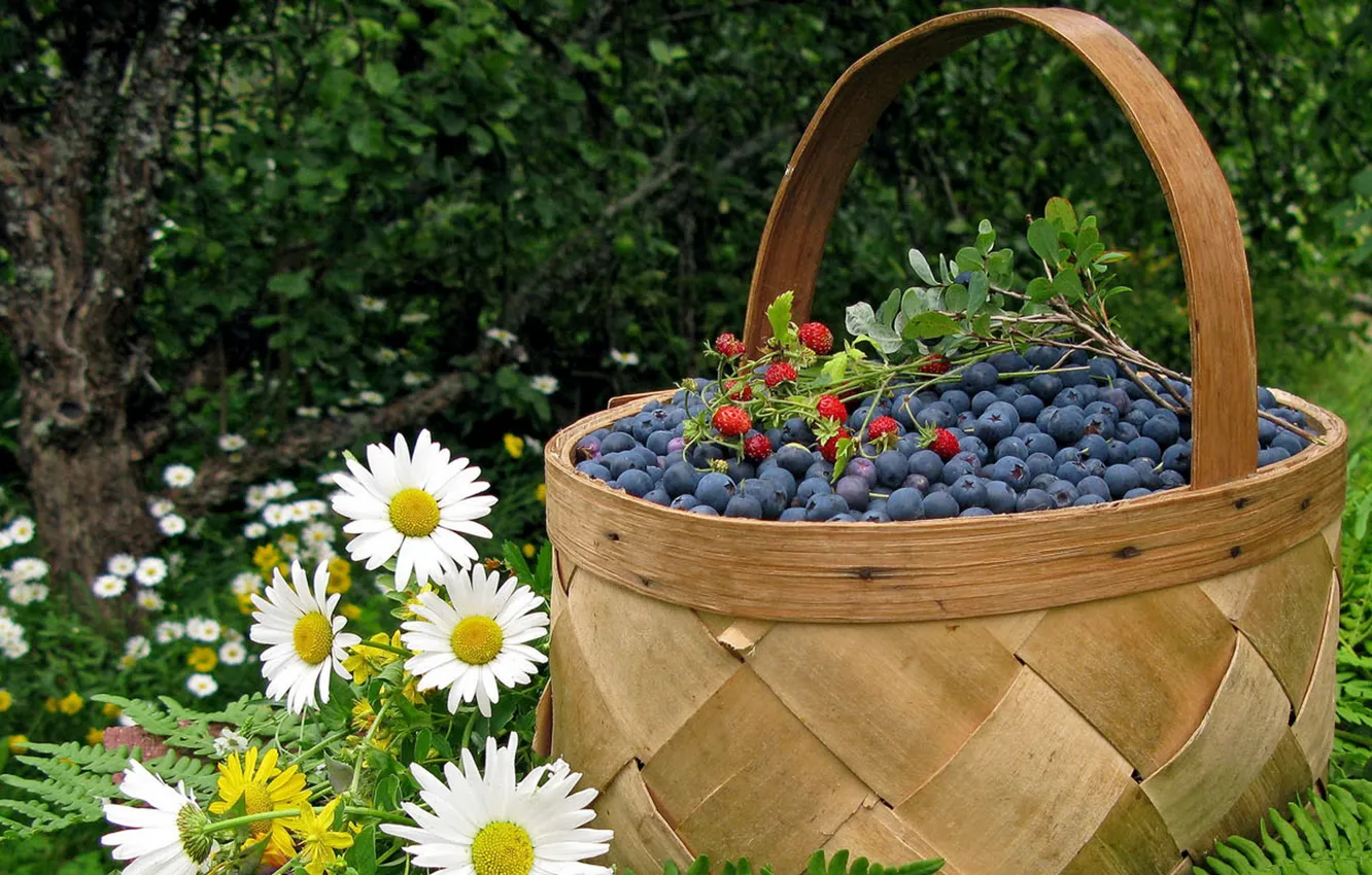 Photo wallpaper berries, chamomile, basket