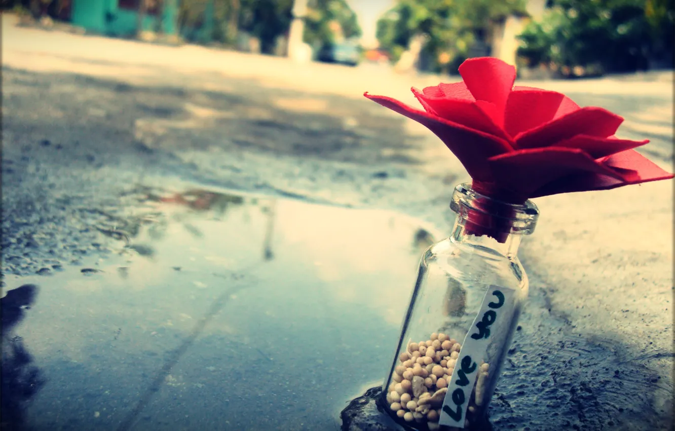 Photo wallpaper flower, macro, love, stones, street, bottle, puddle, note