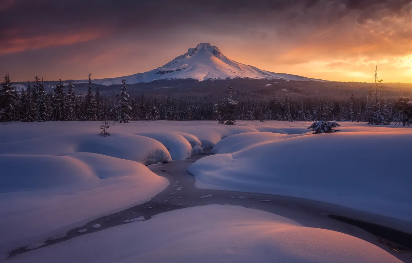 Photo wallpaper winter, forest, snow, stream, dawn, mountain, morning, Oregon