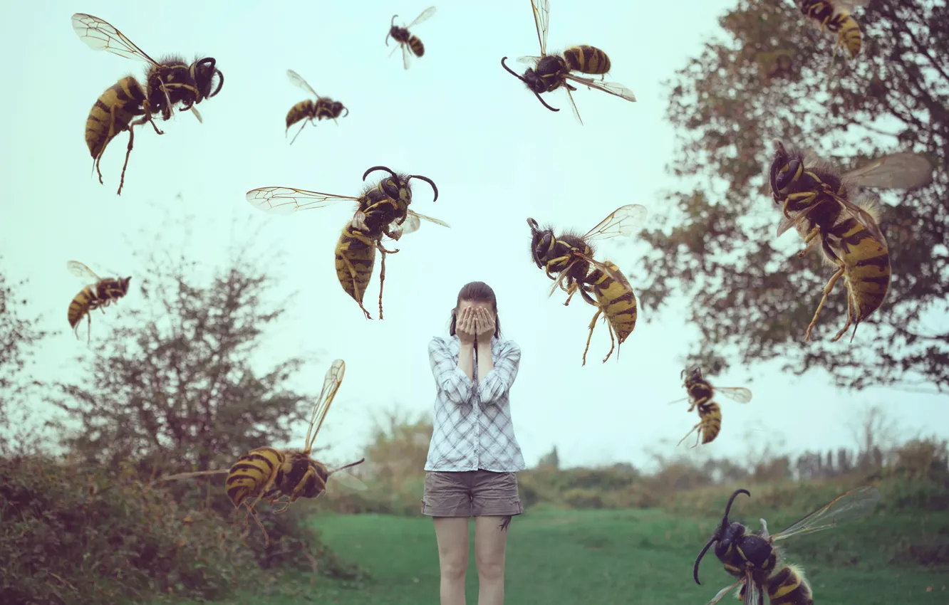 Photo wallpaper girl, insects, sleep, wasps, bees