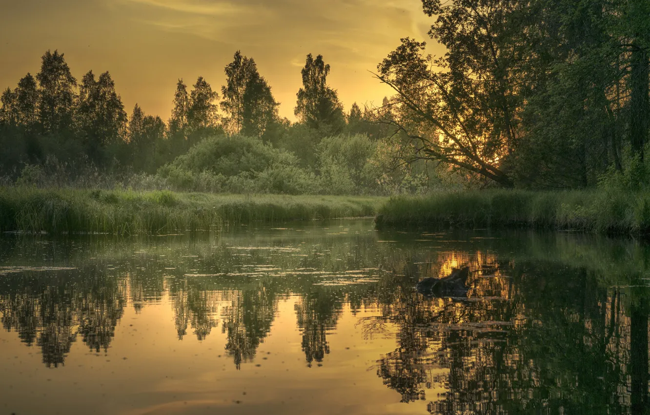 Photo wallpaper sunset, nature, beauty, the evening