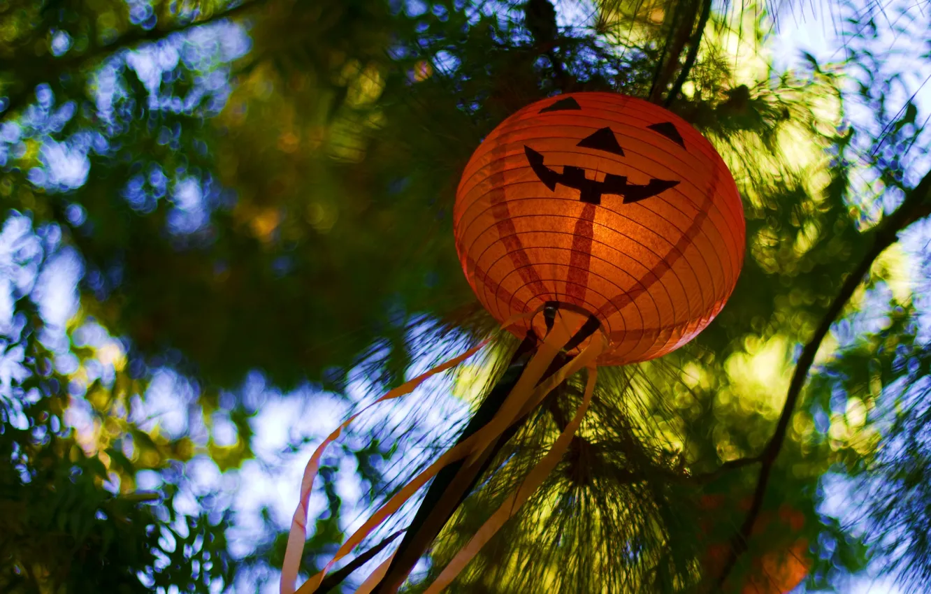 Photo wallpaper nature, holiday, blur, flashlight, pumpkin, Halloween, bokeh, happy Hallo