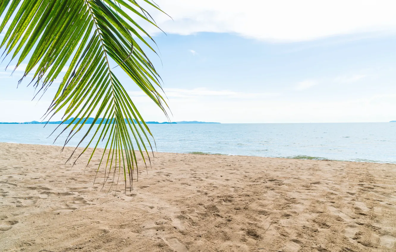 Photo wallpaper tropics, palm trees, sea, beach, sand