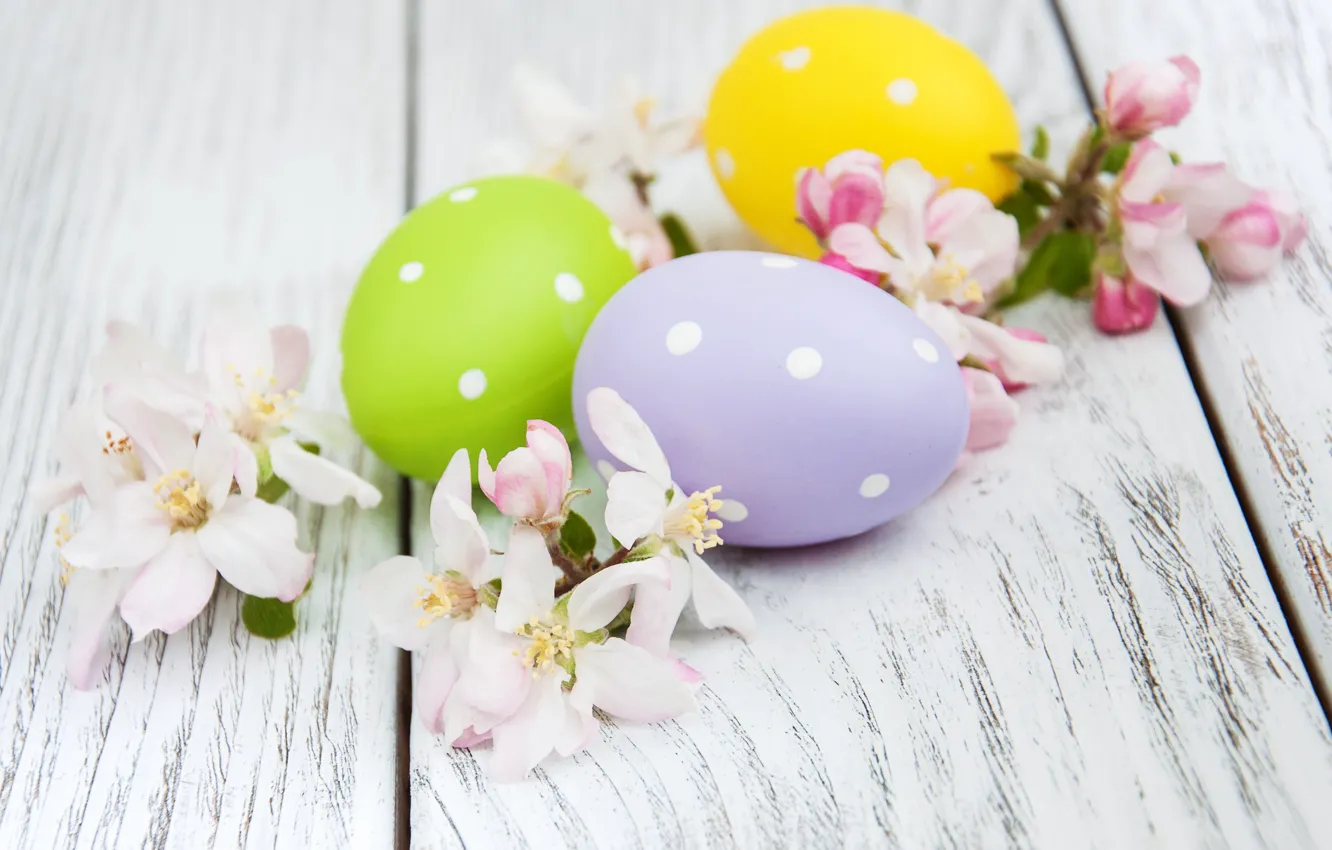 Photo wallpaper flowers, eggs, spring, colorful, Easter, happy, wood, blossom