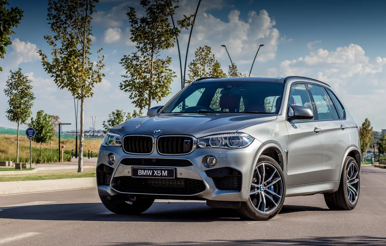 Photo wallpaper trees, Park, BMW, BMW, 2015, F15, ZA-spec