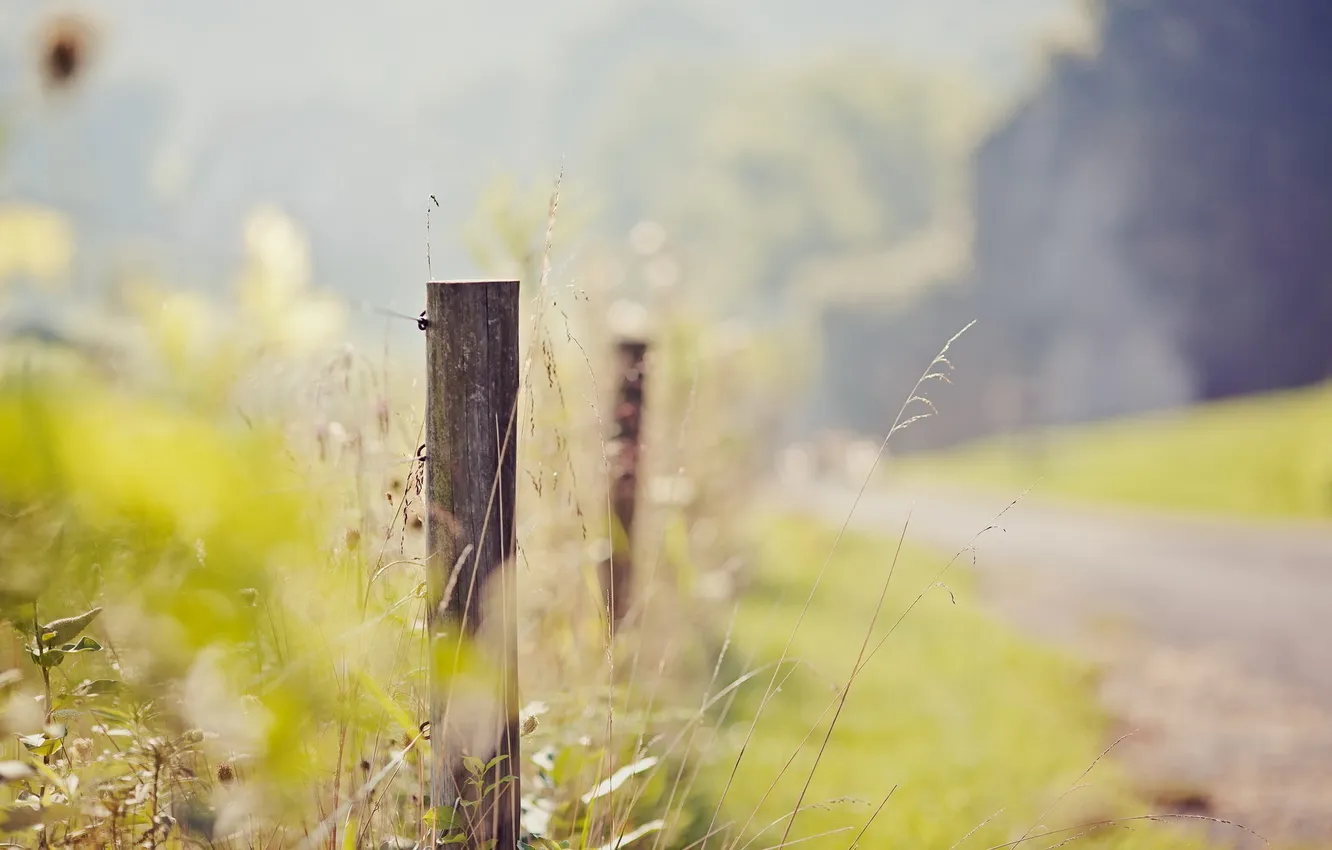 Photo wallpaper road, summer, macro, nature, the fence