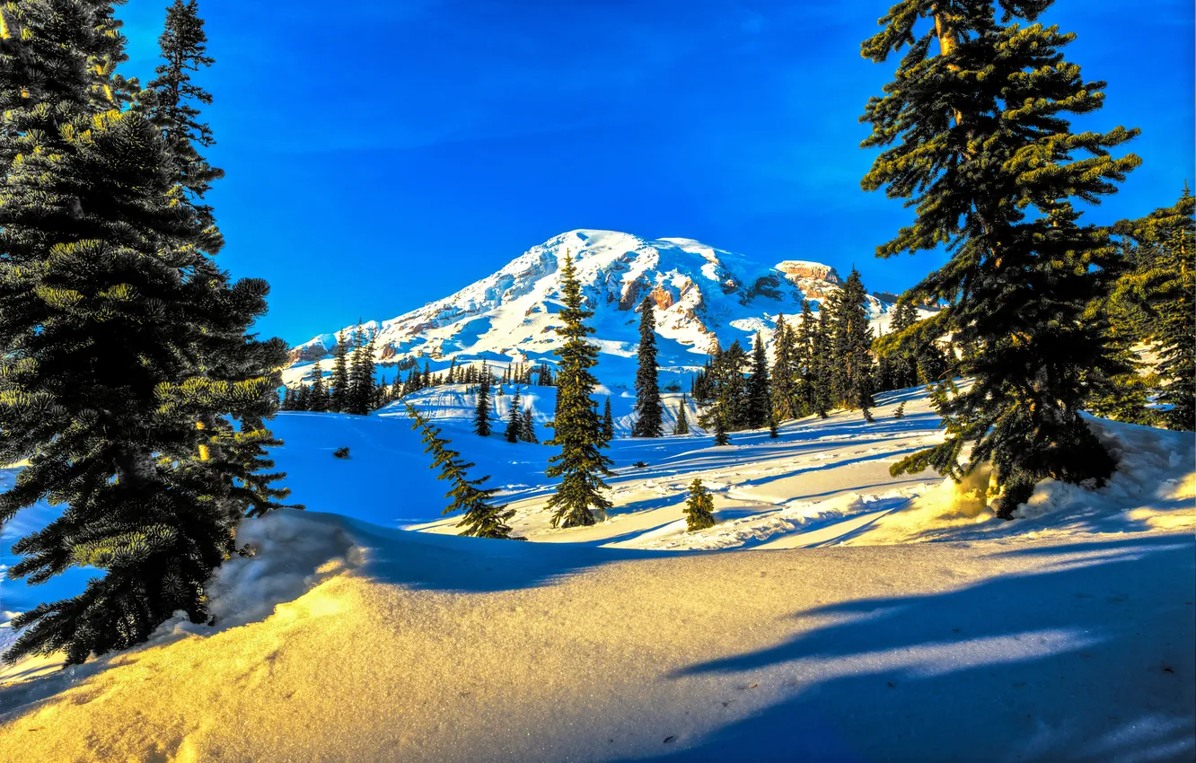 Photo wallpaper winter, the sky, snow, trees, sunset, mountains, spruce, slope