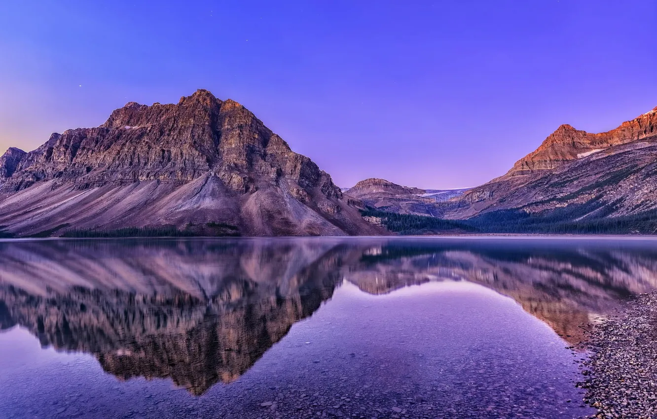 Photo wallpaper forest, nature, lake, shore, twilight, rasvet