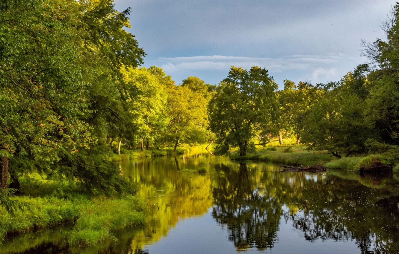 Photo wallpaper trees, lake, reflection, VA, Virginia, Cumberland, Cumberland, Bear Creek Lake State Park