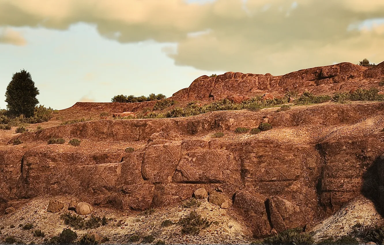 Photo wallpaper bush, game, rocks, Red Dead Redemption 2, RDR2, HDR, UHD, Photography By Tom