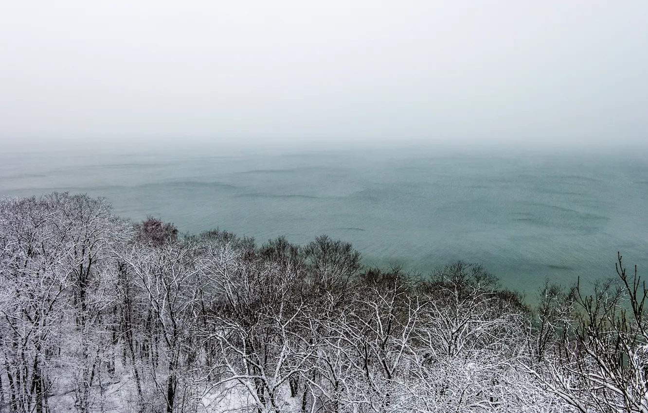 Photo wallpaper sea, snow, trees, nature, fog