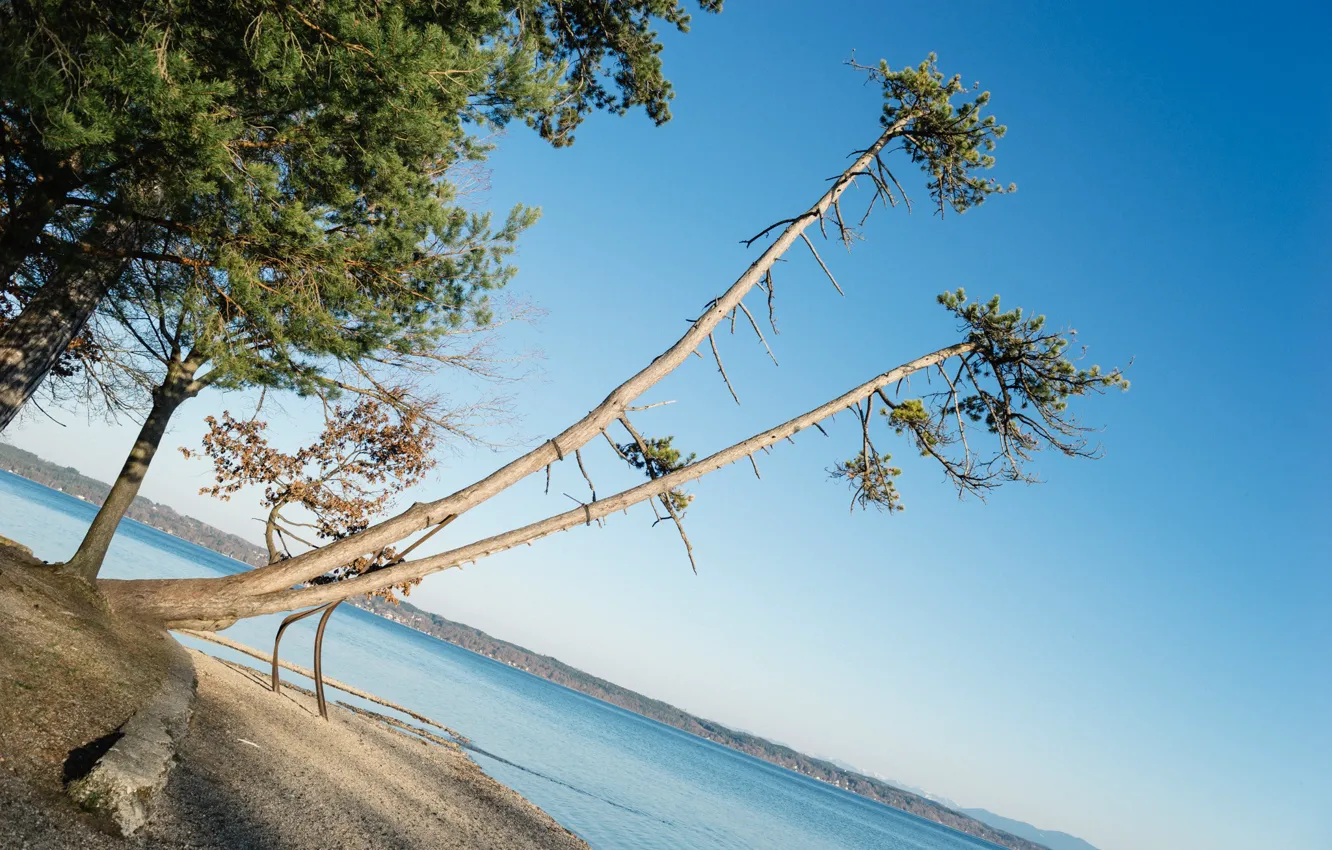 Photo wallpaper the sky, trees, lake